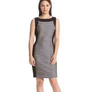 Calvin Klein Sheath Panel Dress (14)